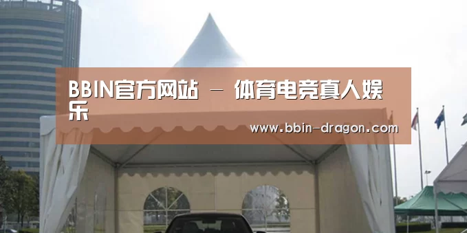 案例标题八